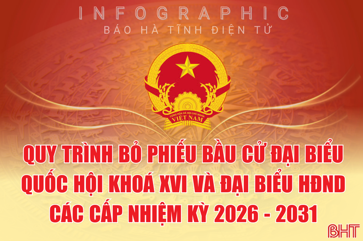 [Infographic] Quy trình bỏ phiếu bầu cử ĐBQH khoá XVI và đại biểu HĐND các cấp nhiệm kỳ 2026 - 2031
