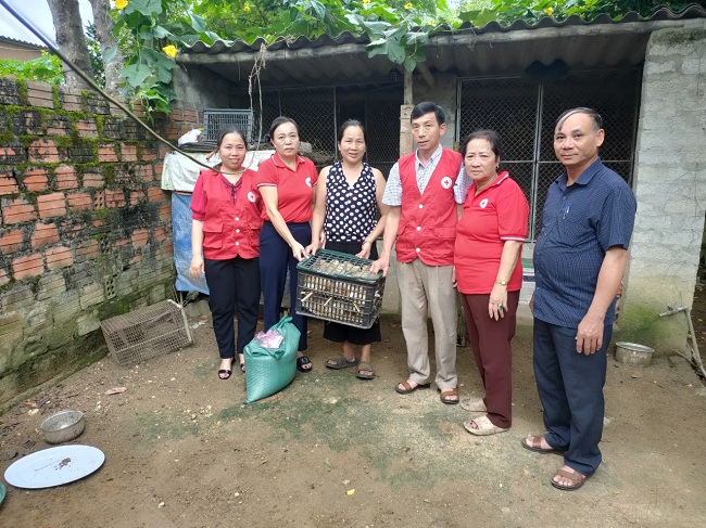  Hội Chữ thập đỏ thị xã Hồng Lĩnh hỗ trợ mô hình sinh kế gà giống cho các địa chỉ nhân đạo